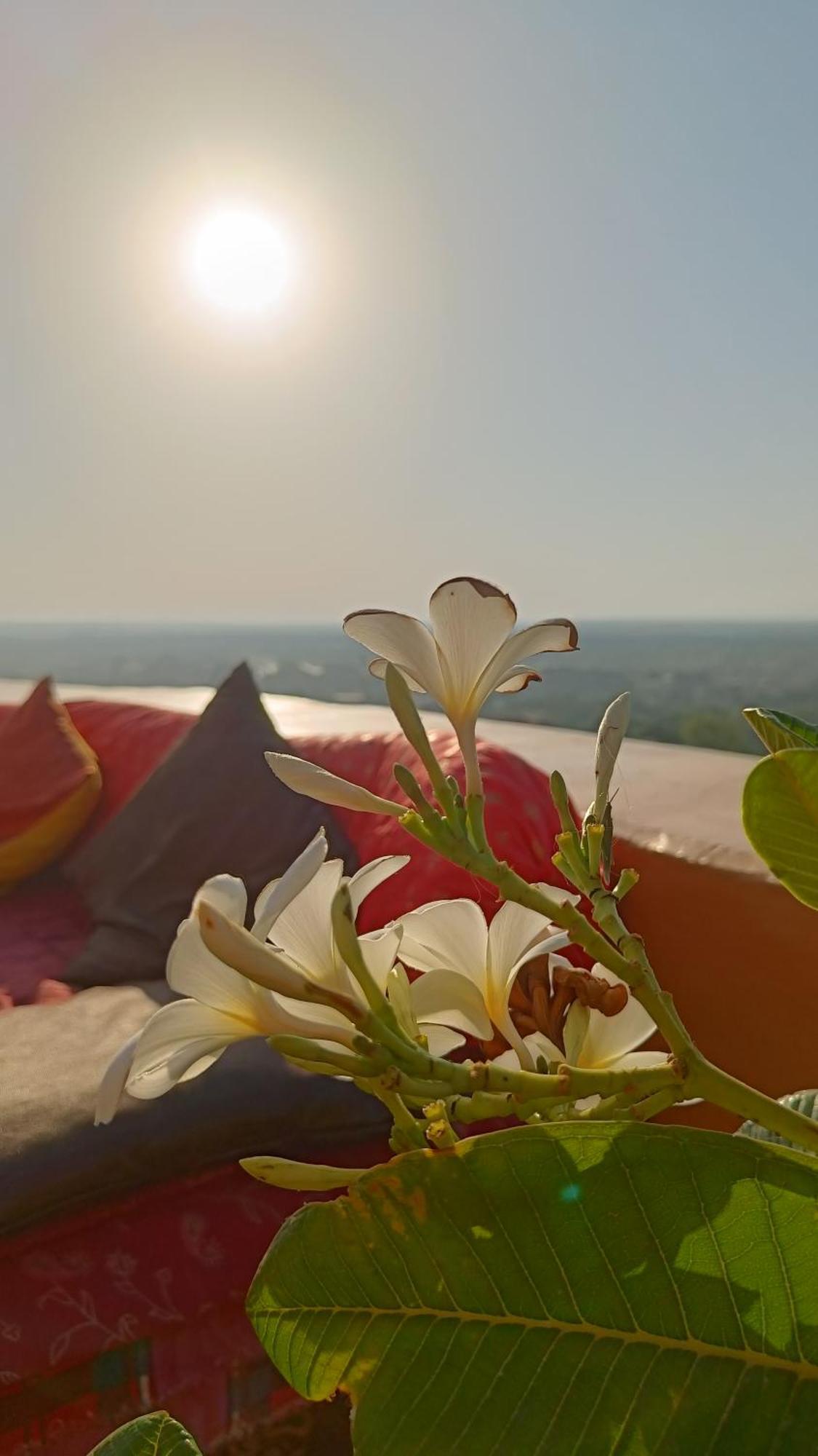 Mud Mirror Guesthouse Jaisalmer Εξωτερικό φωτογραφία